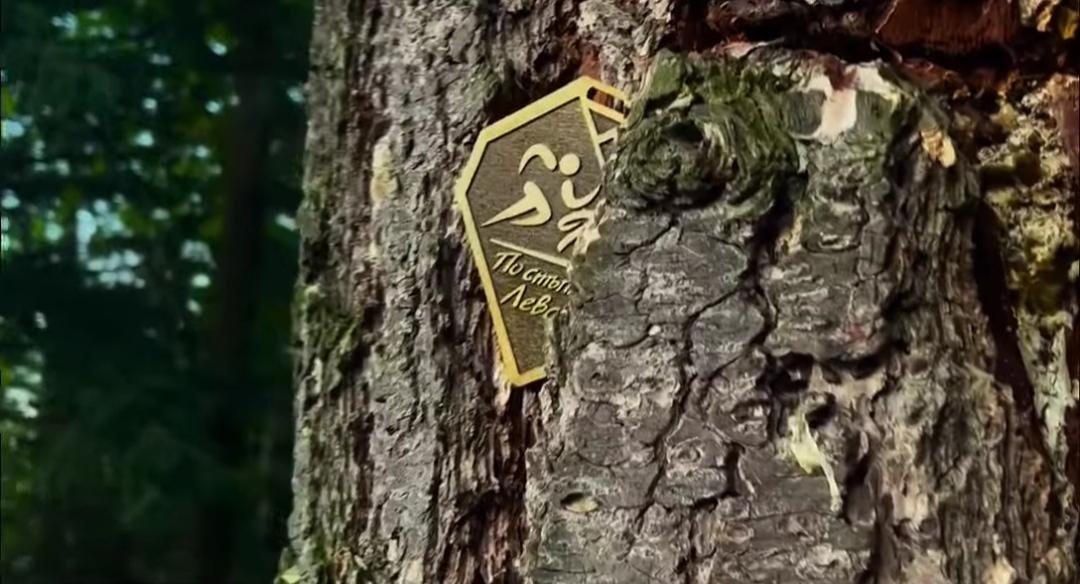 Troyan Run 2024 - Намери своя път